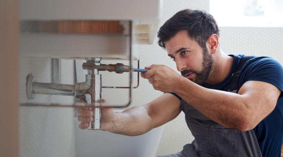 Trap Repair/Replacement in Overton, NV